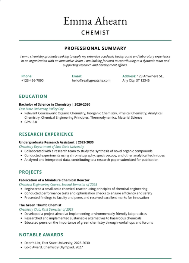 Modern Professional Template